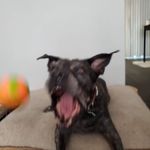 Anthony Bessette - @anthony_bessette_ - Instagram
