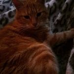 Anthony Billington - @abillington98 - Instagram