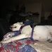 Anthony Blankenship - Facebook