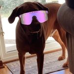Anthony - @anthony_blodgett6 - Instagram
