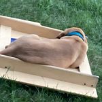 @anthony_blodgett1818 - Instagram