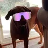 Anthony blodgett - @anthony_blodgett6 - TikTok