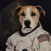 Anthony Boehm - @anthony.boehm - TikTok
