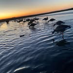 Anthony Boin - @pookeur23 - Instagram