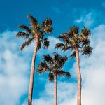 Anthony Bracken - @bracken952 - Instagram