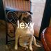 Anthony Bracken - Facebook