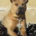 Anthony Bracken - Facebook