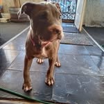 Anthony Bradford - @anthony.bradford.12139 - Instagram