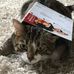 Anthony Brault - Facebook