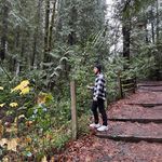 Anthony Braun - @tonysobrauno - Instagram