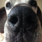 Anthony Brett Zambelli - @anthony.b.zambelli - Instagram