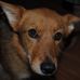 Anthony Brittingham - Facebook