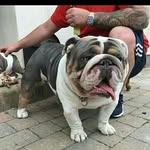 Anthony Broadbull Heath - @anthonybroadbull - Instagram