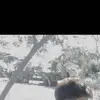anthonybuenaflor1 - @anthonybuenaflor1 - TikTok