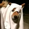 Anthony Bunting - @anthonybunting_1170 - TikTok