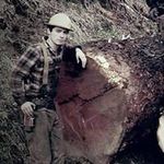 Anthony great - @anthony.cadman - Instagram