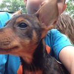 Anthony Cagle - @anthony_cagle20 - Instagram
