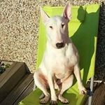 Anthony Cairns - @cairns_anthony - Instagram
