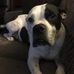 Anthony Caldeira - Facebook