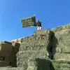 anthonycallaghan22 - @anthonycallaghan22 - TikTok