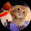 Anthony - @anthonycamara88 - TikTok