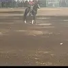 Anthony Camara - @anthony.camara6 - TikTok