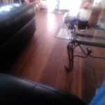 Anthony Camodeca - @acamodeca753 - Instagram