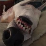 Anthony Cancro - @anthonycancro - Instagram