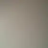 anthony_capparelli - @anthony_capparelli - TikTok