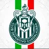 Anthony Cardenas - @anthonycardenas48 - TikTok
