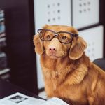 Anthony Carlson - @anthonycarlson64 - Instagram
