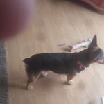 Anthony Carry - @anthony.carry.58 - Instagram