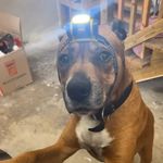 Duke Anthony Cash - @dukeanthonycash - Instagram