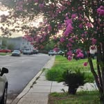 Anthony Castaneda - @anthony_castaneda196 - Instagram