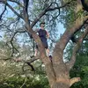 Anthony.Castiglia - @anthony.castiglia - TikTok