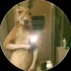 Anthonycasto - @anthonycasto47 - TikTok