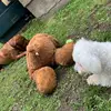 AnthonyCatterson - @anthonycatterson03 - TikTok