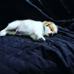 anthony cedillo - @ce.anthony - Instagram