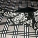 Anthony Ceja - @anthonyceja95 - Instagram