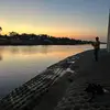 anthony_celano._ - @anthony_celano._ - TikTok