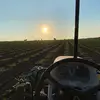 anthonycelli - @cali.farmer - TikTok