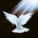 Abner Anthony Cephas - @abneranthonycephas - Instagram