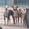 anthony_cerami - @antonino.cerami - TikTok