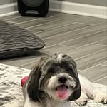 Anthony Cerbone - @cerbone.anthony - Instagram