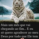 Antônio Cerqueira - @anthony.cerqueira.3114 - Instagram