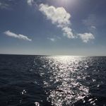 Anthony Cerulli - @tonybolognia3 - Instagram