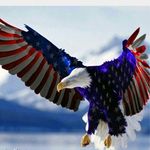 Anthony cervone - @anthony_cer_713 - Instagram