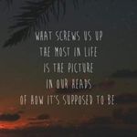 Anthony Cesaratto - @dr_sheekov - Instagram