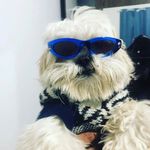 tony - @anthonycezar_2007 - Instagram