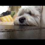 @anthonychabala - Instagram